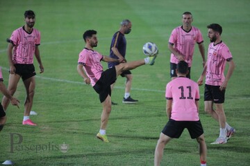 حمله سگ به تمرین پرسپولیس
