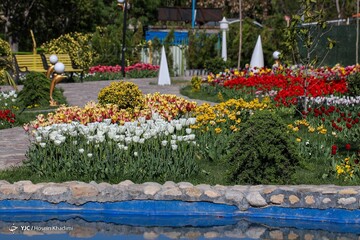 جشنواره گل های لاله در اراک