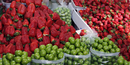 ریزش قیمت نوبرانه‌های بهاری؛ به زودی / وضعیت نامناسب میوه های دپو شده در سردخانه ها 