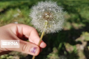 بهار طبیعت