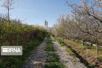 بهار طبیعت