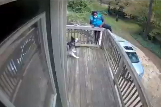 ببینید | وحشت پیک موتوری از یک سگ و واکنش خنده‌داری که سوژه شد