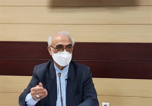 ایروانی: نهادهای انقلابی جزء خوش حساب‌ترین مؤدیان مالیاتی هستند