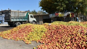 چه کسی مقصر از بین رفتن هزاران تن میوه مازاد است؟ / نقش وزارت صمت و تنظیم بازار در دپو میوه شب عید 

