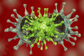 ویروس کرونا هندی خطرناک‌تر از دیگر ویروس‌ها/ مرز دریایی تنها راه ورود
