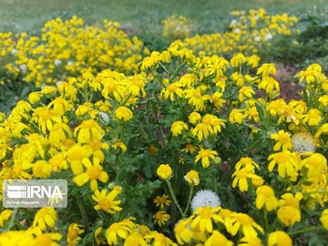 زیبایی‌های جاده خلخال - پونل