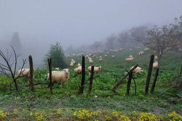 تصاویر | زیبایی‌های جاده رویایی خلخال به پونل
