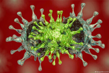 ویروس کرونای هندی تا اروپا هم رفت