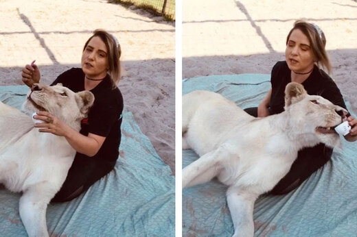 ببینید | دوست و هم‌بازی عجیب و غریب یک دختر جوان!