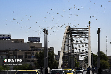 تفریح پر خطر بر روی پل سفید