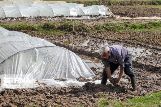 خشکسالی در پرباران‌ترین استان کشور‎