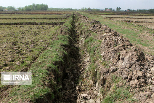 خشکسالی در پرباران‌ترین استان کشور‎