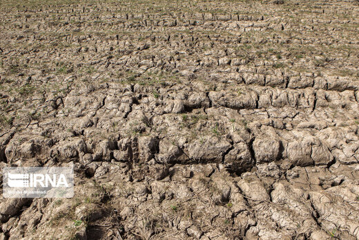 خشکسالی در پرباران‌ترین استان کشور‎