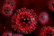 ببینید | راه‌های پیشگیری از جهش ویروس کرونا