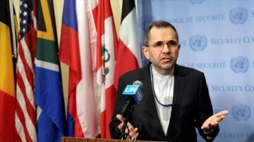 Envoy: Palestinians struggling for realization of their inherent rights