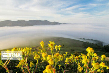 تصاویر | زیبایی‌های طبیعت در ییلاقات رضوانشهر