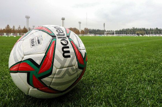 ببینید | لحظه هولناک ورود تمساح به زمین فوتبال