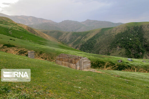 زیبایی های طبیعت در ییلاقات رضوانشهر