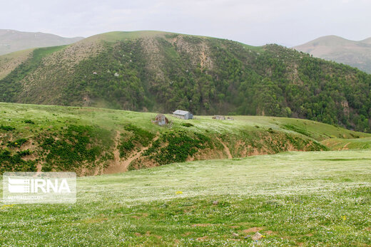 زیبایی های طبیعت در ییلاقات رضوانشهر