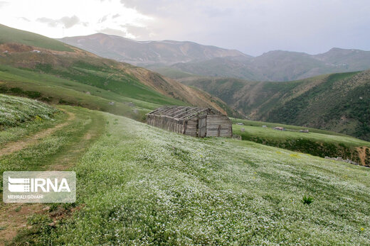 زیبایی های طبیعت در ییلاقات رضوانشهر