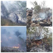 آتش سوزی منطقه حفاظت شده کوه دیل گچساران مهار شد