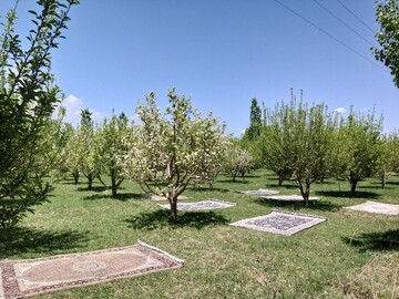 تلفیق بهار و زمستان در دامنه کوهستانهای "مرگور" ارومیه