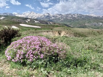 تلفیق بهار و زمستان در دامنه کوهستانهای "مرگور" ارومیه