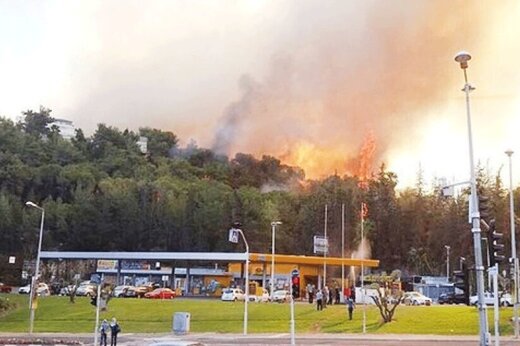 ببینید | آتش‌سوزی گسترده در نزدیکی فرودگاه «بن‌گوریون» فلسطین اشغالی