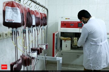 نذرخون در شب های پر فضیلت "قدر"