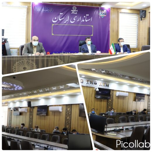 اعمال محدودیت ها در خروج گوشت مرغ از لرستان
