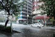 ببینید | رگبار باران و رعد و برق در تهران