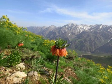 "پیرروستم" منطقه ای سرسبز برای ییلاق و قشلاق مردم هورامان تخت