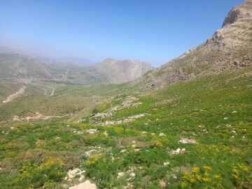 "پیرروستم" منطقه ای سرسبز برای ییلاق و قشلاق مردم هورامان تخت