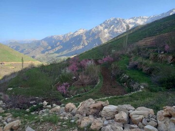 "پیرروستم" منطقه ای سرسبز برای ییلاق و قشلاق مردم هورامان تخت