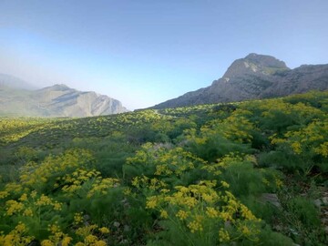 "پیرروستم" منطقه ای سرسبز برای ییلاق و قشلاق مردم هورامان تخت