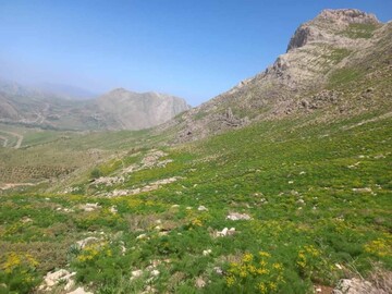 "پیرروستم" منطقه ای سرسبز برای ییلاق و قشلاق مردم هورامان تخت