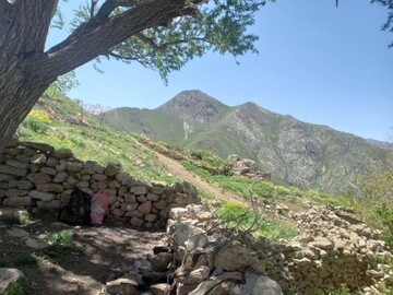"پیرروستم" منطقه ای سرسبز برای ییلاق و قشلاق مردم هورامان تخت
