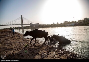 حال ناخوش کارون