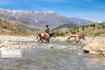 کوچ عشایر بختیاری به استان چهارمحال‌وبختیاری