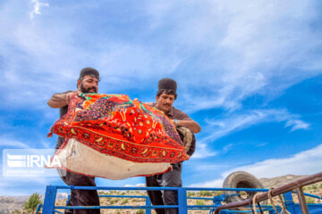 تصاویر | کوچ عشایر بختیاری به استان چهارمحال‌وبختیاری