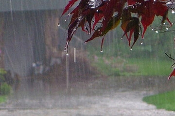 بارش شدید باران در نیمه شمالی کشور