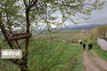 مزرعه گل‌های لاله در روستای اسپره‌خون تبریز