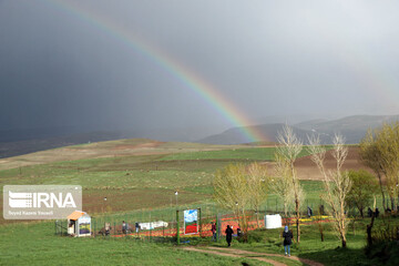 مزرعه گل‌های لاله در روستای اسپره‌خون تبریز