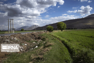 تصاویر | قاب‌های غم‌انگیز از ردپای انسان بی‌تعهد در طبیعت