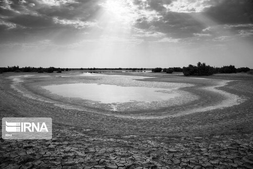 نابودی تالاب زیبای کرمانشاه در اثر خشکسالی