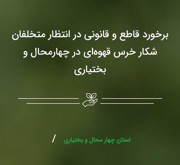 برخورد قاطع و قانونی در انتظار متخلفان شکار خرس قهوه‌ای در چهارمحال و بختیاری
