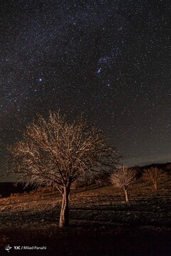 آسمان شب