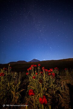 آسمان شب