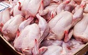 هشدار نسبت به افزایش مجدد قیمت مرغ