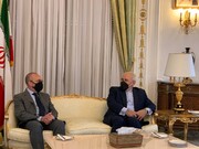 دیدار ظریف با رئیس کمیسیون سیاست خارجی مجلس سنای ایتالیا/عکس